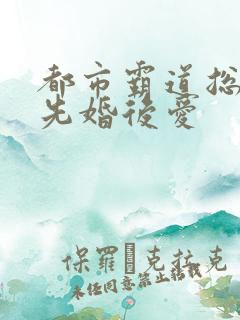 都市霸道总裁文先婚后爱