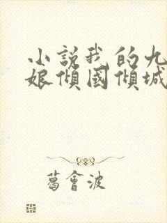 小说我的九个师娘倾国倾城免费阅读