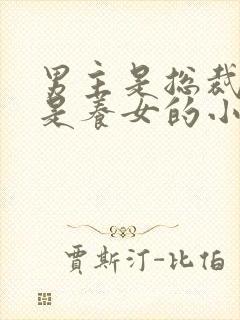 男主是总裁女主是养女的小说