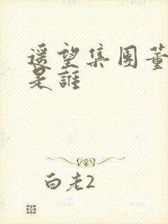 遥望集团董事长是谁