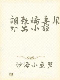 调教娇妻用跳蛋外出小说