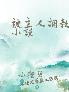 被主人调教sp小说