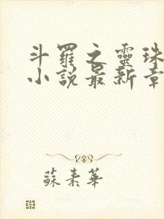 斗罗之灵珠神剑小说最新章节目录