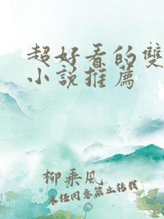 超好看的双男主小说推荐