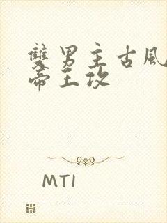 双男主古风甜文帝王攻