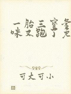 一胎三宝爹地妈咪又跑了免费阅读全文