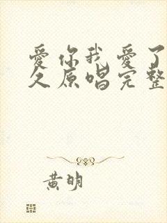 爱你我爱了那么久原唱完整版