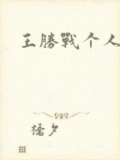 王胜战个人简介