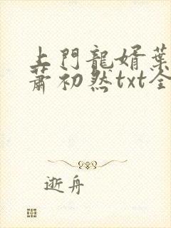 上门龙婿叶辰,萧初然txt全文下载