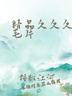 精品久久久国产毛片