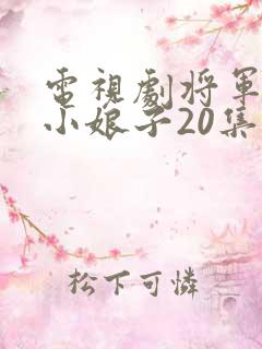 电视剧将军家的小娘子20集至40集