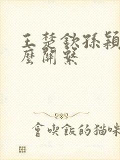 王楚钦孙颖莎什么关系