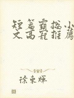 短篇霸总小说甜文高宠推荐