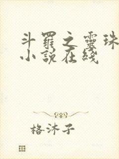 斗罗之灵珠神剑小说在线