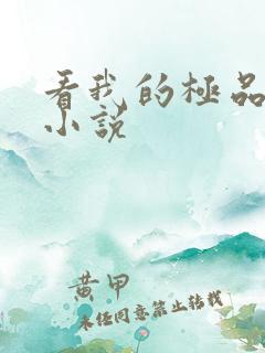 看我的极品老婆小说