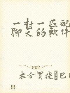 一对一匹配语音聊天的软件