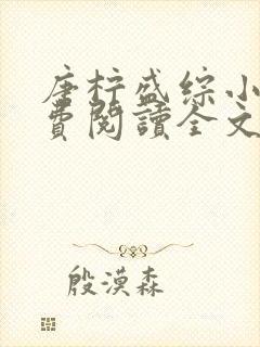 唐柠盛综小说免费阅读全文最新章节