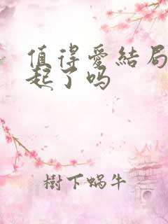 值得爱结局在一起了吗