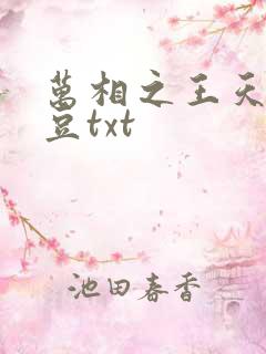 万相之王天蚕土豆txt