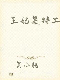 王妃是特工