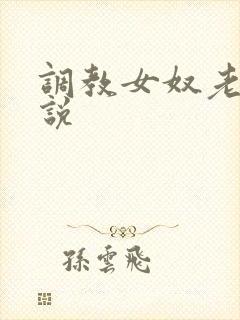 调教女奴老师小说