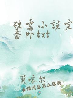 破云小说完整版番外txt