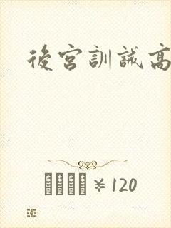 后宫训诫高h