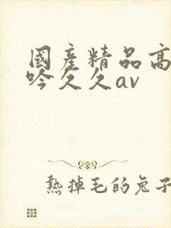 国产精品高潮呻吟久久av