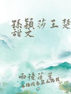 孙颖莎王楚钦小甜文