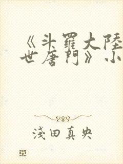 《斗罗大陆2绝世唐门》小说