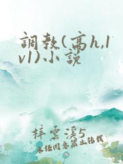 调教(高h,1v1)小说