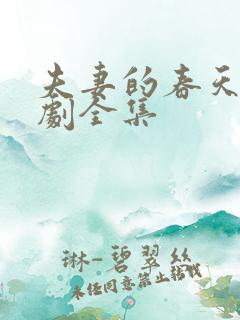 夫妻的春天电视剧全集