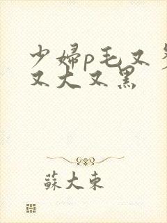 少妇p毛又多水又大又黑