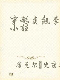 穿越贞观李慎的小说