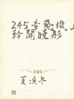 245章飞机上干关晓彤