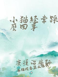 小猫经常踩奶怎么回事