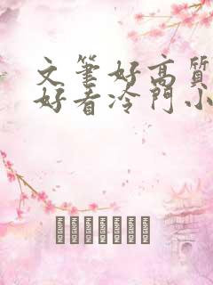 文笔好高质量超好看冷门小说