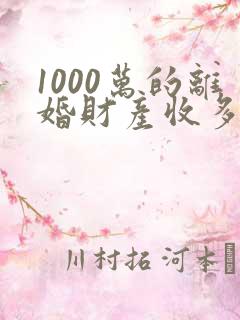 1000万的离婚财产收多少律师费