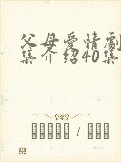 父母爱情剧情分集介绍40集