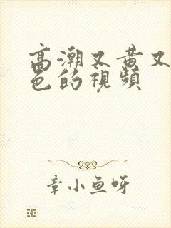 高潮又黄又爽又色的视频