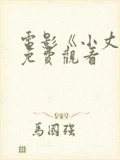 电影《小丈夫》免费观看