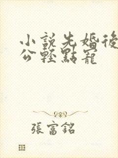 小说先婚后爱老公轻点宠