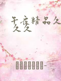 午夜精品久久久 久久