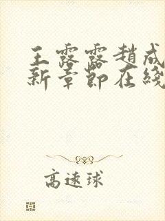 王露露赵成则最新章节在线阅读