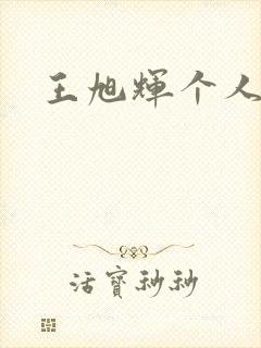 王旭辉个人简介