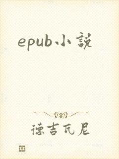 epub小说