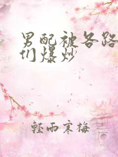 男配被各路大佬们爆炒