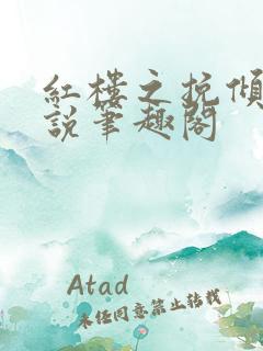 红楼之挽倾天小说笔趣阁