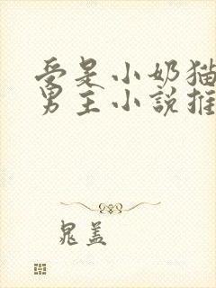 受是小奶猫的双男主小说推荐