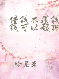 借钱不还钱多少钱可以起诉